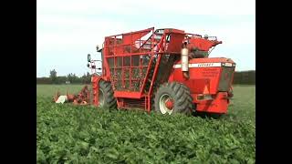 VERVAET SUGAR BEET HARVESTER [upl. by Elleyoj]