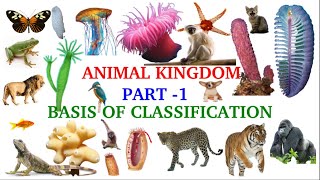 Animal KingdomPart1Basis of ClassificationLevels of OrganisationSymmetryClass 11Zoology [upl. by Alegna281]