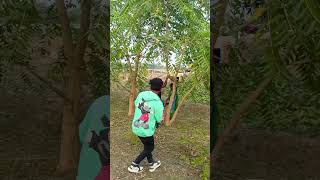 Met khon met Dak jorok tin song santali love newsong viralvideo [upl. by Nadroj719]