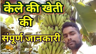 केले की खेती की संपूर्ण जानकारी G9 kela ki kheti in hindi [upl. by Nagoh797]