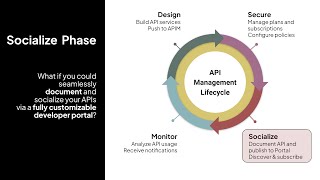 Celigo API Management The Socialize Phase [upl. by Annetta]