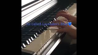 Lavender’s Blue song on the piano🎹💙musicpianopianotutorialtutorial [upl. by Yziar]