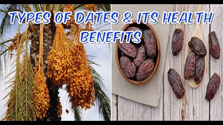 Different Types of Dates and Its Health Benefits [upl. by Eatnoid132]