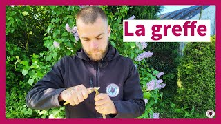 Comment greffer un arbre fruitier [upl. by Eisserc751]