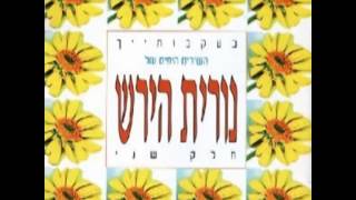 בעקבותייך  אילן ואילנית [upl. by Saito]