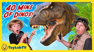 Giant Dinosaur Adventures 40 Minutes of Dinosaurs with TRex in Fun Kids Video with Toys [upl. by Higgs]