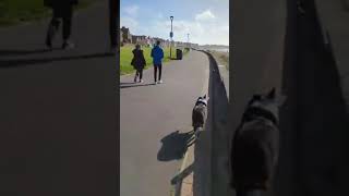 Saltcoats battered by Storm Ashley 211024 [upl. by Jacquelyn]