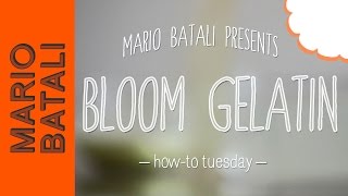 Mario Batalis HowTo Tuesday Blooming Gelatin [upl. by Natika]