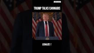 Trump talks cannabis at press conference shorts [upl. by Eneliak]