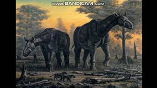 Paraceratherium Sounds  Remake [upl. by Chemar]