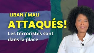 Beyrouth et Bamako sous le feu Leçons d’une journée de tous les dangers [upl. by Granger783]