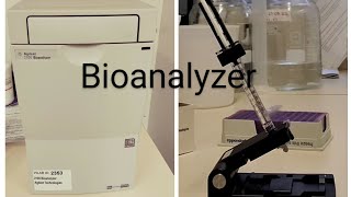 Bioanalyzer [upl. by Rosabella745]