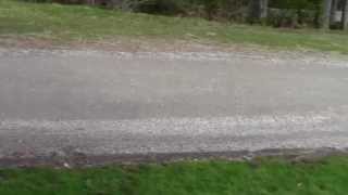 What is the best gravel for driveways and paths Peninsula Landscape Supplies [upl. by Nna]