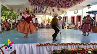 Final de estilo Queretano infantil en Peñamiller 2024 Cantores del Son Las Poblanitas [upl. by Aromat]