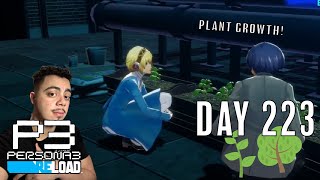 Day 223 Ladybugs   Persona 3 Reload Lets Play [upl. by Eciuqram]