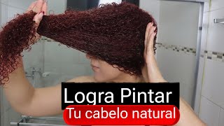 NO SABES CÓMO PINTAR EL CABELLO NATURAL EN CASA DESCÚBRELO [upl. by Owena940]