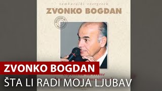 Zvonko Bogdan  Šta Li Radi Moja Ljubav  Vojvodina Music Official [upl. by Godding]