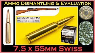 75x55mm Swiss Sellier amp Bellot 174gr FMJ  V342512  SB7555A Ammo Dismantling amp Evaluation [upl. by Alger862]