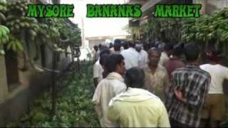 INDIA MYSORE BANANAS MARKET [upl. by Ainad885]