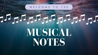 The Musical Notes Introductory Video [upl. by Yekcin]