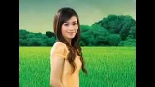 Lao song  boung phaow saiy ngarm  Anousone Phaiyasith [upl. by Bolten773]