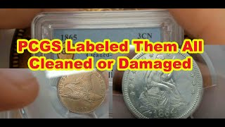 All My Coins Labeled Cleaned Or Damaged By PCGS [upl. by Aryajay]