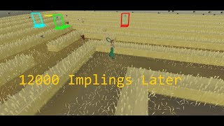 The 11 THOUSAND Imp Crafting Grind CatherbyChnk Xtreme One Chunk Ironman 4 [upl. by Ulrick500]