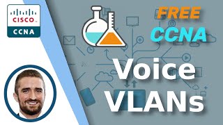 Free CCNA  Voice VLANs  Day 46 Lab  CCNA 200301 Complete Course [upl. by Atrice280]