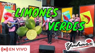 Yahari  Limones Verdes en Vivo desde Soltando el Show [upl. by Anrak]