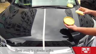 carnauba car wax [upl. by Latvina]