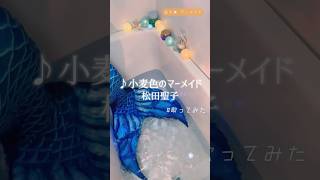 小麦色のマーメイド松田聖子 cover 人魚 mermaid 歌ってみた 昭和歌謡 seiko 松田聖子 懐メロ お風呂 水の音 jpop 인어 [upl. by Iorgos]