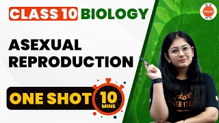 Asexual Reproduction Class 10 One Shot  How Do Organisms Reproduce  CBSE 10th Biology Chapter8 [upl. by Sherborne120]