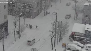 Heavy snowfall in Sapporo lofi radio 12 hours  January 7 2024 [upl. by Nauht]