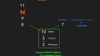 Coagulation Cascade  USMLE [upl. by Brandea]