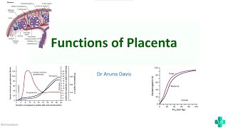 Functions of Placenta amp fetoplacental unit with mcq questionsMBBS First Year Physiology [upl. by Chessy]