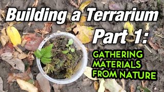 🍃🍂 Building a Terrarium Part 1 Gathering Materials From Nature 🍃🍂🍁🌿 [upl. by Hawthorn238]