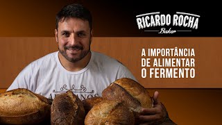 Por que fazer alimentações seguidas no fermento natural [upl. by Legim]