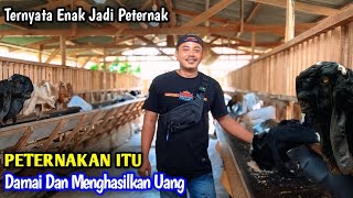 Pengusaha Pakaian Alih Profesi Jadi Peternak Kambing Di Desa [upl. by Belsky]