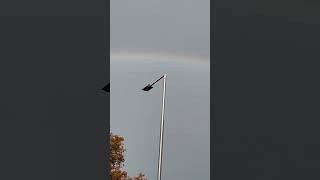 De natuur is fantastisch 🌈🤩 rainbow nature gift grateful thanks shortsvideo shortshorts [upl. by Jesus997]