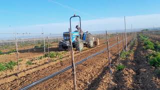 Landini 8560F con fresa Maschio [upl. by Adidnac]