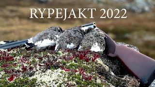 Rypejakt 2022 1011 september [upl. by Phelps609]