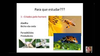 Aula Características da classe insecta desenvolvimento e morfologia [upl. by Justino]