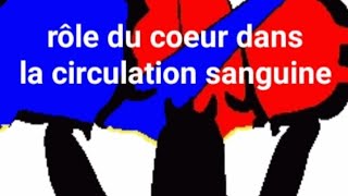 rôle du coeur dans la circulation saguine [upl. by Schoenfelder]