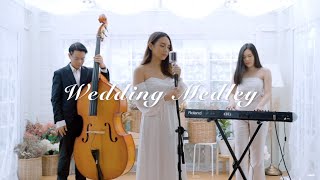 Wedding Medley Beautiful In White Cant Help Falling In Love Perfect and more  Mild Nawin [upl. by Flossie]