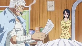 Smokey Learns About Luffy and Laws Victory  One Piece 736 [upl. by Consolata]