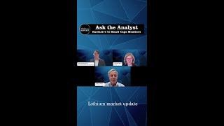 Lithium market update [upl. by Ronnica662]