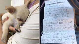 Owner Abandons Abused Puppy in Airport Bathroom with Heartbreaking Note [upl. by Bartolemo516]