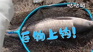 【噠噠姐釣魚】巨物！上巨物啦！ 钓鱼 机车 机车女孩 空军 户外 骑行 野钓 [upl. by Nosnorb]