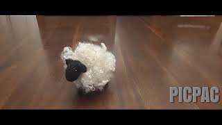 How Sheep get their Wool  Needle Felting and Stop Motion Animation [upl. by Ardnasela]