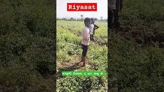 રીયાસત Riyasattrending viralvideo ગુજરાતી [upl. by Emiaj817]